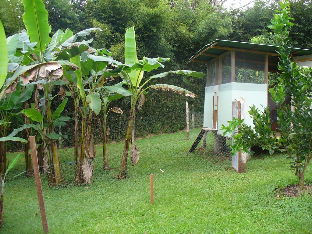 El Paraiso Verde B&B Атенас Екстериор снимка